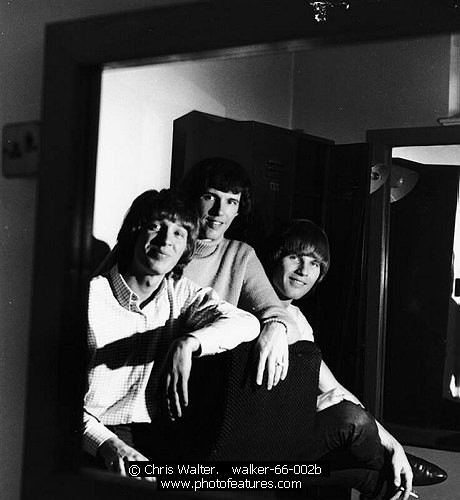 Photo of Scott Walker and Walker Brothers by Chris Walter , reference; walker-66-002b,www.photofeatures.com